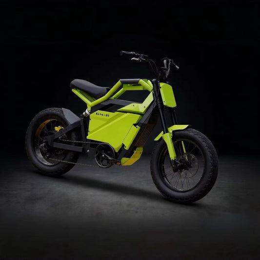 Tekiby GN-R Electric bicycle